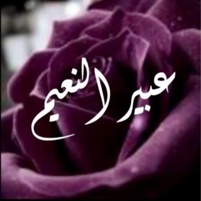 د.عبير النعيم